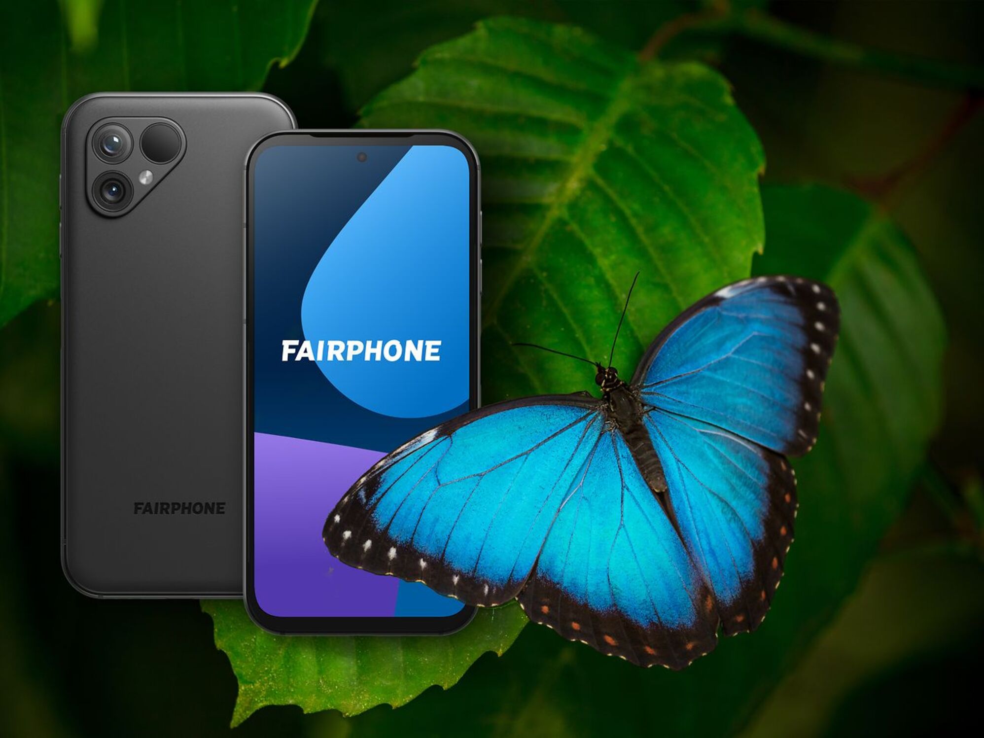 Fairphone припиняє програму оренди смартфонів через низький попит