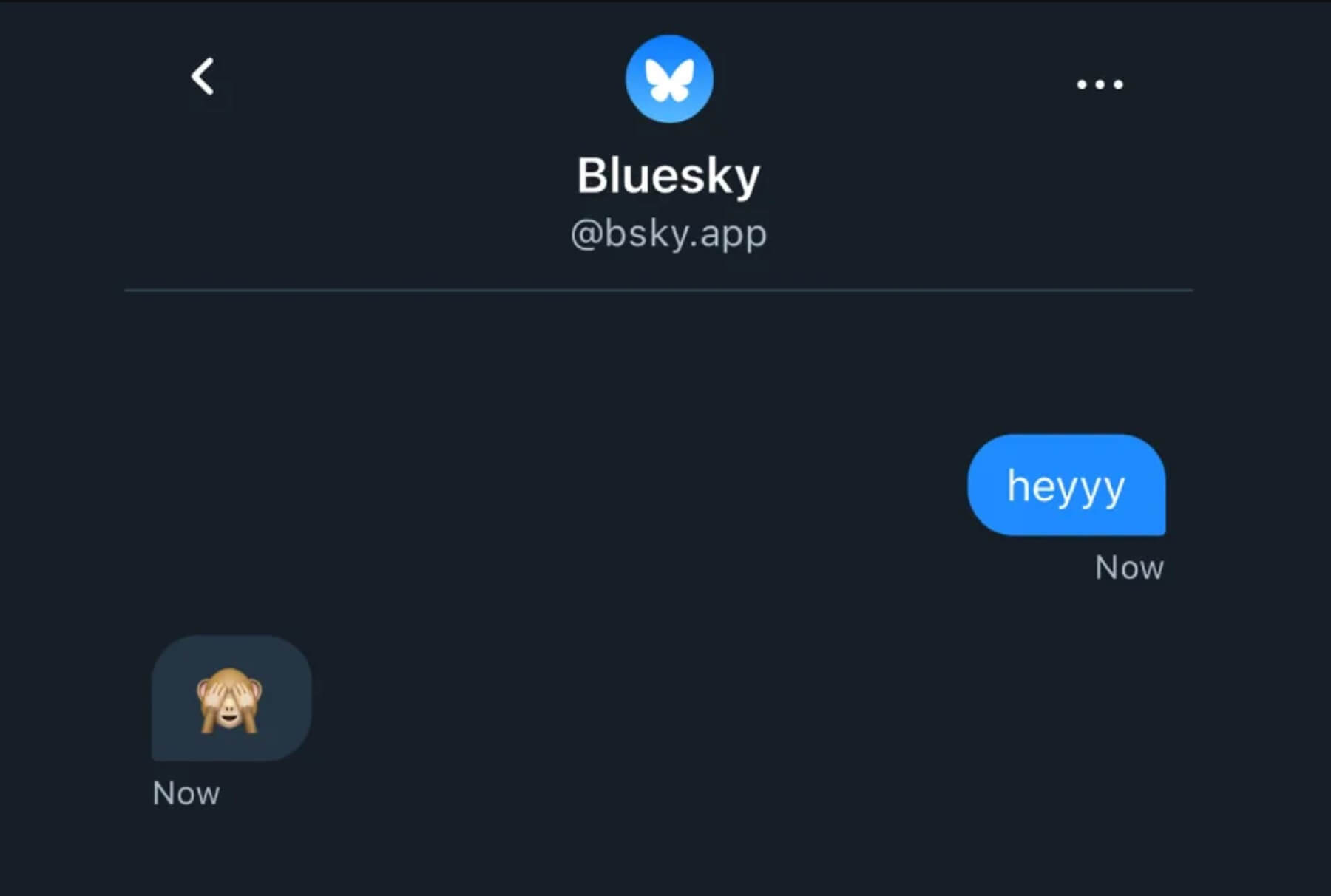 У Bluesky можна обмінюватися повідомленнями напряму