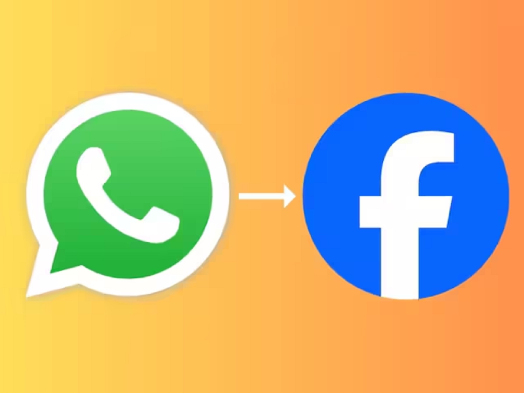 WhatsApp заборонить робити скріншоти чужих профілів користувачам iPhone