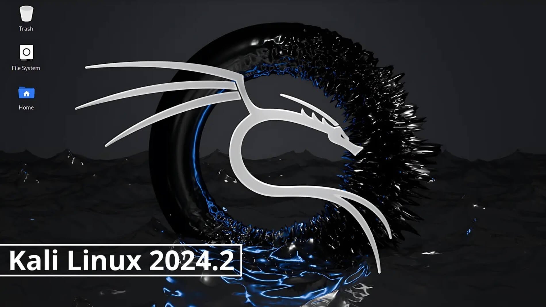 Kali Linux 2024.2 випущено з новими інструментами та покращеннями