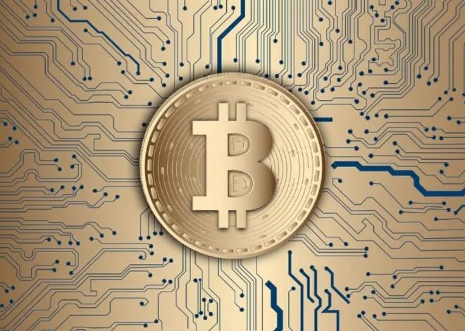 Соло-майнер здобув рідкісну перемогу: самотужки видобув блок Bitcoin на $326 301