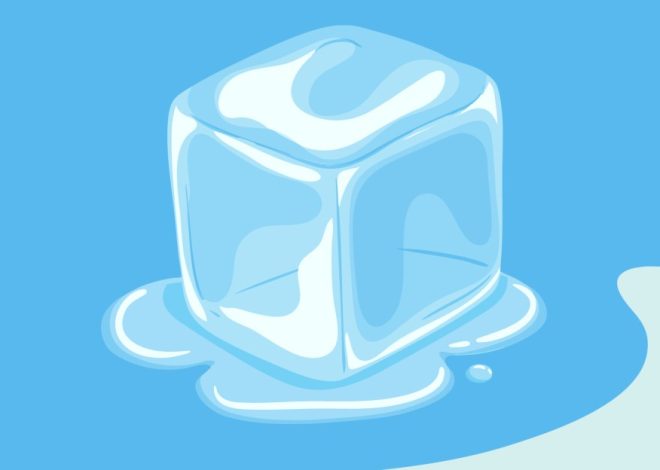 Додаток для відстеження ICE зайняв лідируючу позицію в App Store