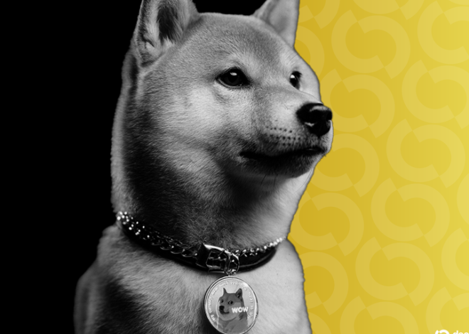 Безліч Рухів: Чи Очікує Нас Зростання Або Падіння Dogecoin? Яким Буде Розмір Капіталу Ethereum від SharpLink?