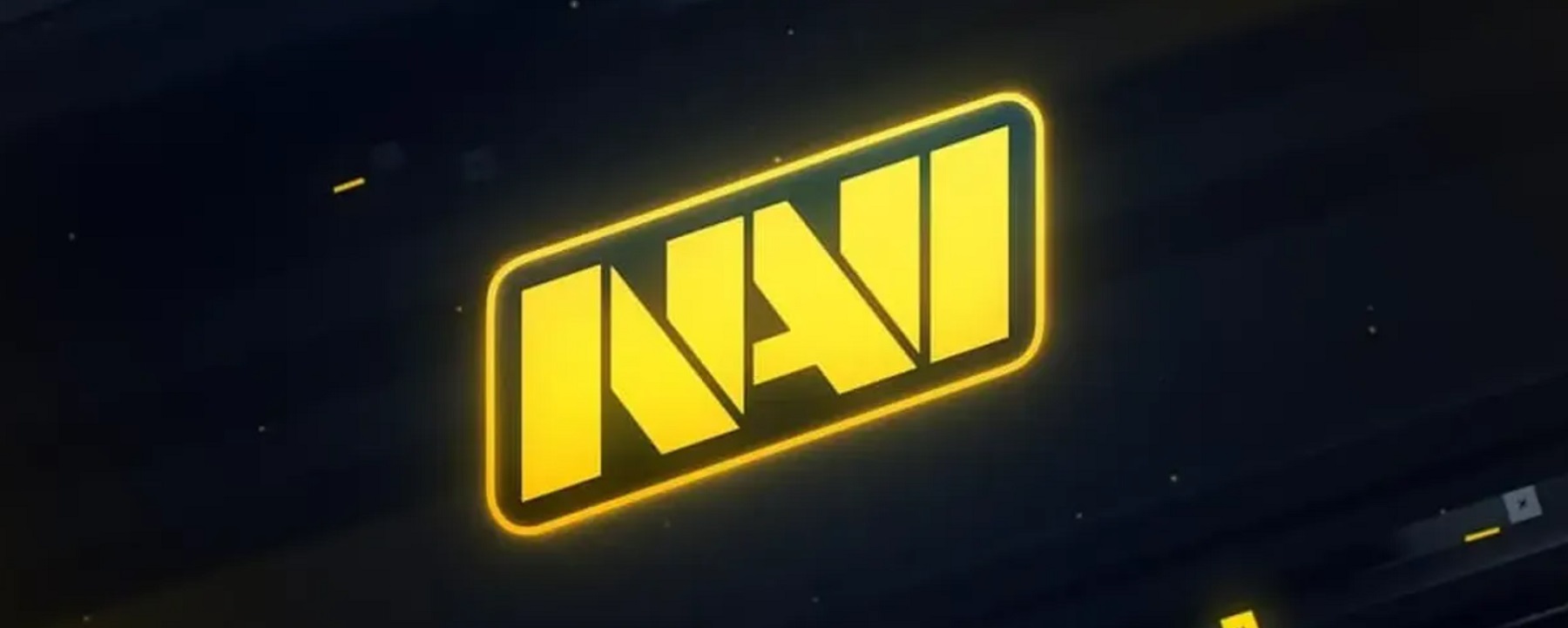 NaVi відбили атаку хакерів і повернули групу у Steam