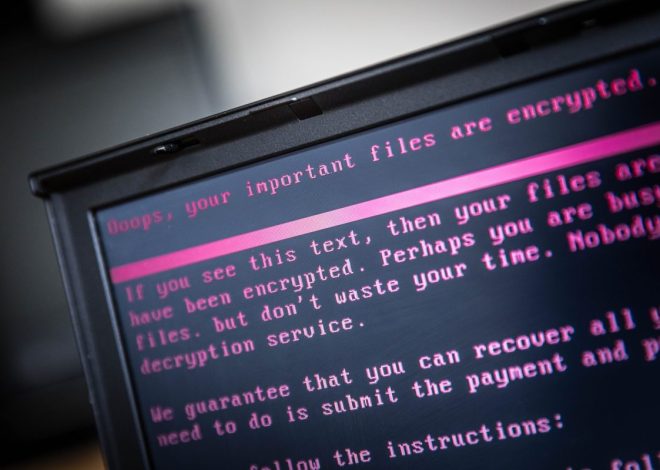 CyDeploy прагне створити копію системи компанії для тестування оновлень перед їх виходом — зустрічайте на Disrupt 2025