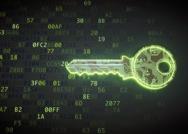 Вразливості у Freedom Chat: як незахищений додаток поставив під загрозу особисті дані користувачів