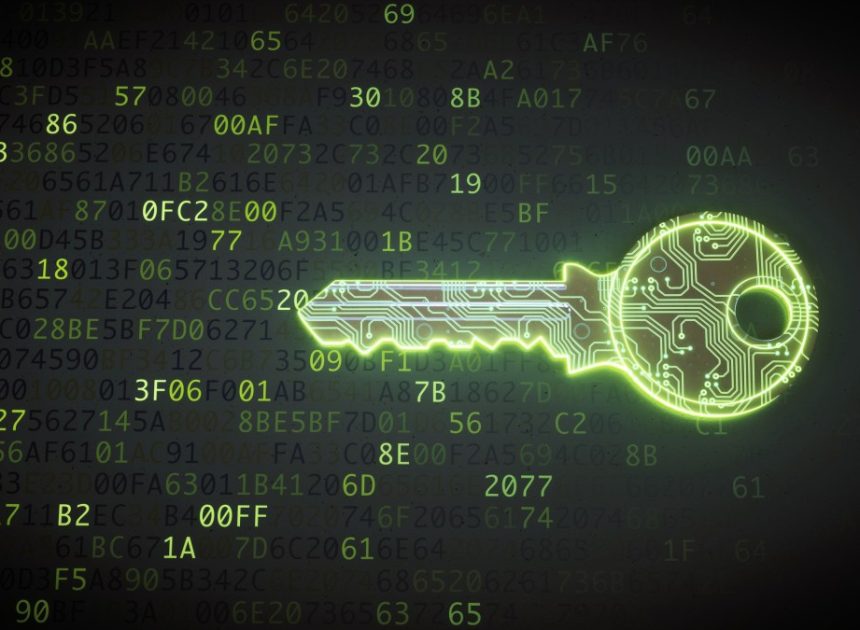 Вразливості у Freedom Chat: як незахищений додаток поставив під загрозу особисті дані користувачів