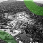 Стабільні монети стають ключовим інструментом у незаконній торгівлі золотом на Амазонці: нові викриття GI-TOC