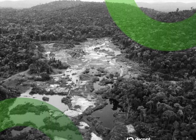 Стабільні монети стають ключовим інструментом у незаконній торгівлі золотом на Амазонці: нові викриття GI-TOC