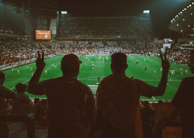 Що дивляться українські спортивні фанати, крім футболу
