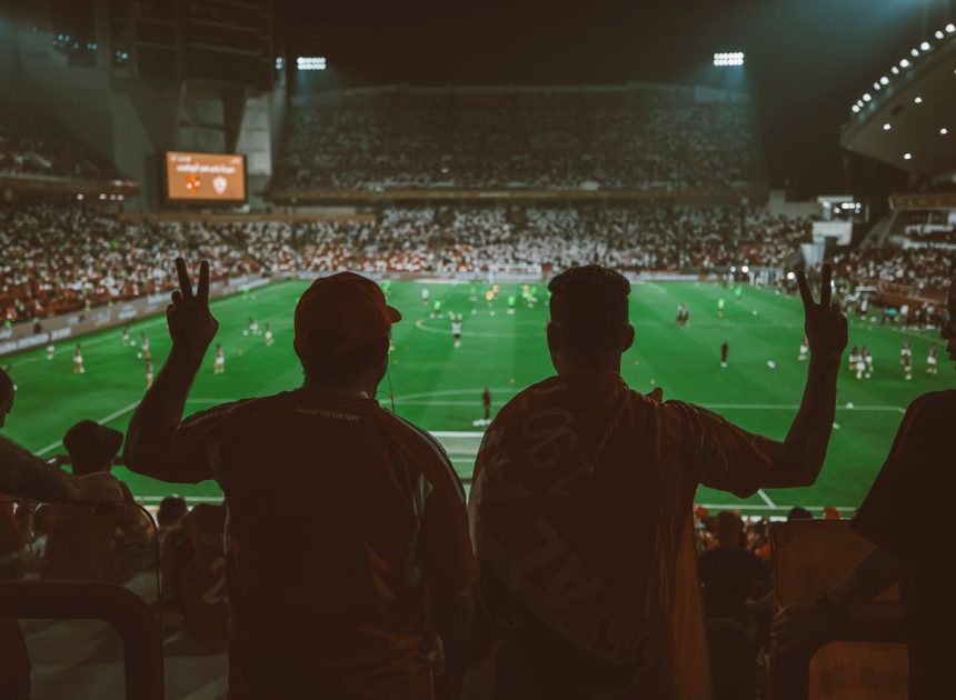 Що дивляться українські спортивні фанати, крім футболу